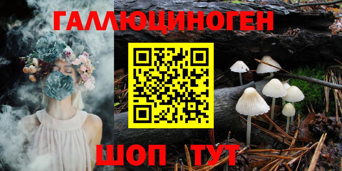 Галлюциногенные грибы Psilocybine cubensis Энгельс